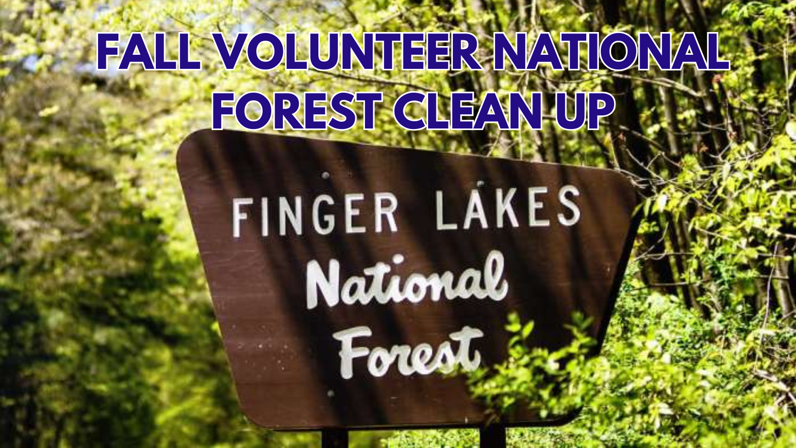 Fall Volunteer Forest Clean up