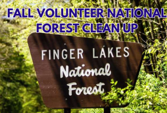 Fall Volunteer Forest Clean up